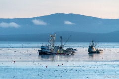 Sunrise on the fishing grounds