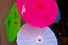 Chinatown Festival - Victoria, B.C.