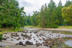 Craig Creek Estuary - Parksville, B.C.