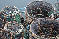 French Creek Marina - French Creek, B.C.