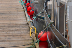 French Creek Marina - French Creek, B.C.