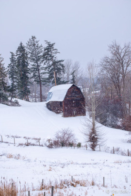 Okanagan Mission Barn
