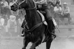 Rodeo Rider
