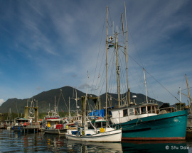 Tofino Harbour