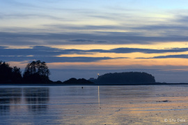 Tofino Sunset