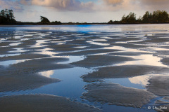 Chesterman Beach Low Tide Chesterman Beach Low Tide