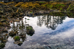 Tidal Pool Reflection Tidal Pool Reflection