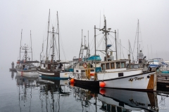 Fishermans_Wharf_-_S0014