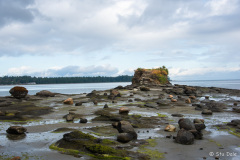 Sea Stack at the mouth of Craig Creek 